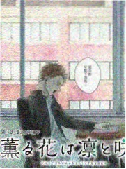 京都人的私房雅趣剧照，町屋庭院一角